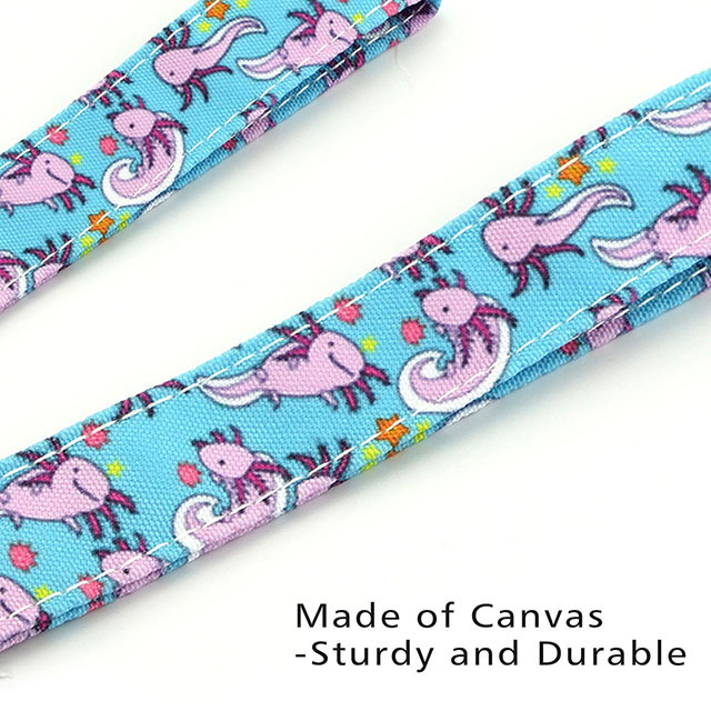 Axolotl Gifts Lanyard ID Holder Cotton Fabric Preschool Lanyard Teacher Gift Coworker Gift for Her Boss