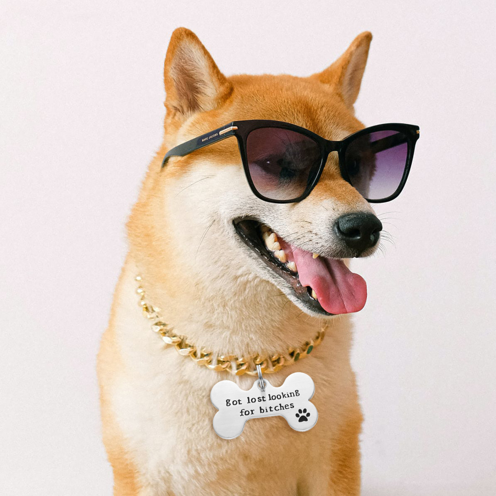 Lparkin Got Lost Looking for Bitches Dog ID Tag Backside customized- Unique Pet Id Tag - Dog Tag - Cat Tag - Custom Pet Tag