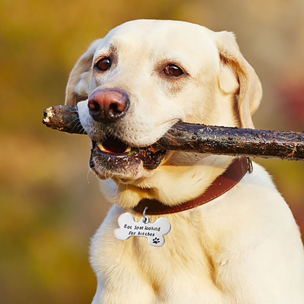 Got Lost Looking for Bitches Dog ID Tag - Unique Pet Id Tag - Dog Tag - Cat Tag - Custom Pet Tag