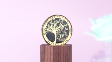 LParkin 4 Year Sobriety Coin, 4 Year AA Coin, Sobriety Gifts for Women and Men, Tree of Life Sober Gifts Alcoholics Anonymous Medallion