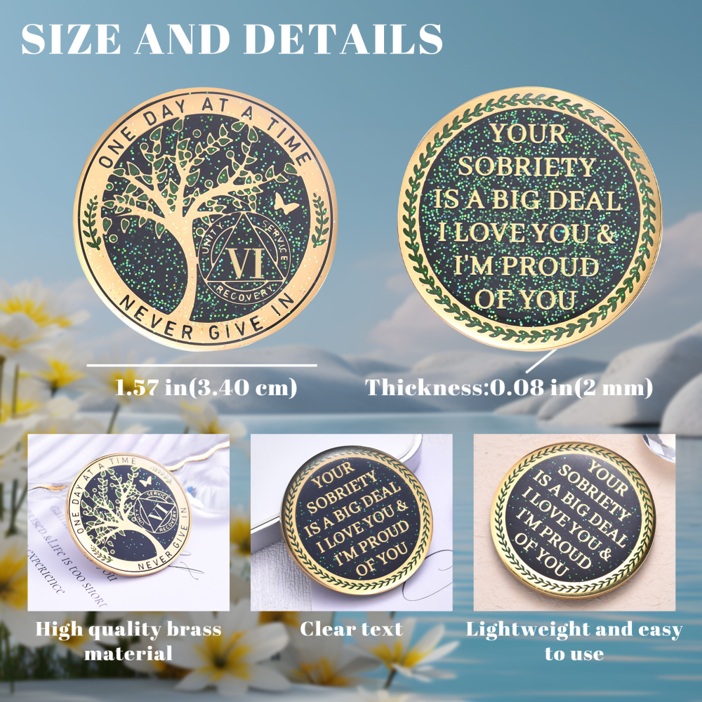 LParkin 6 Year Sobriety Coin, Tree of Life Sobriety Coin, 6 Year AA Coin, Sobriety Gifts for Men and Women, Sober Anniversary Token, Alcoholics Anonymous Medallion