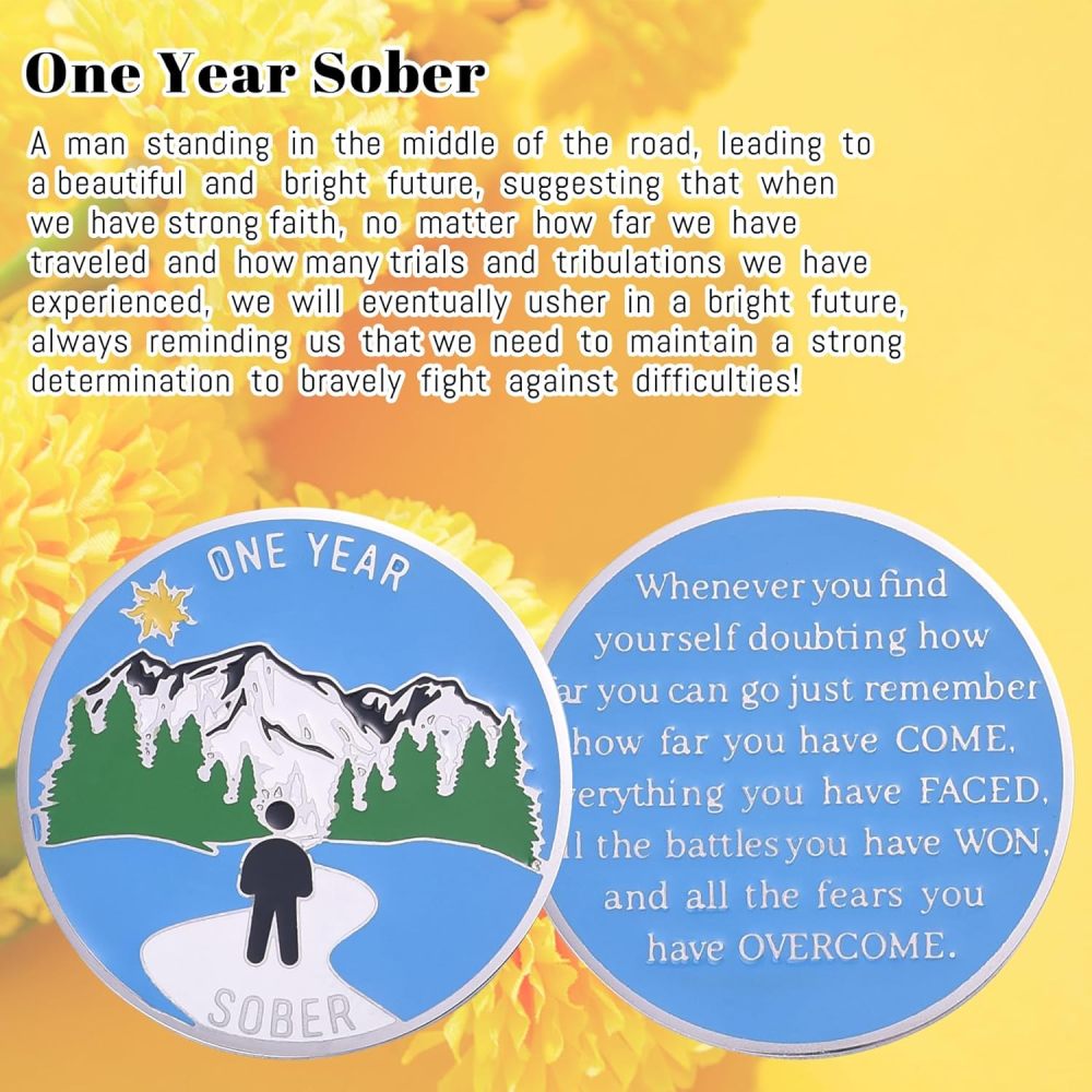 LParkin 1 Year Sobriety Coin, Sober Chip, Recovery AA Chips and Medallions, Alcoholics Anonymous Medallion, Anniversary Token Sober Gifts for Men Women