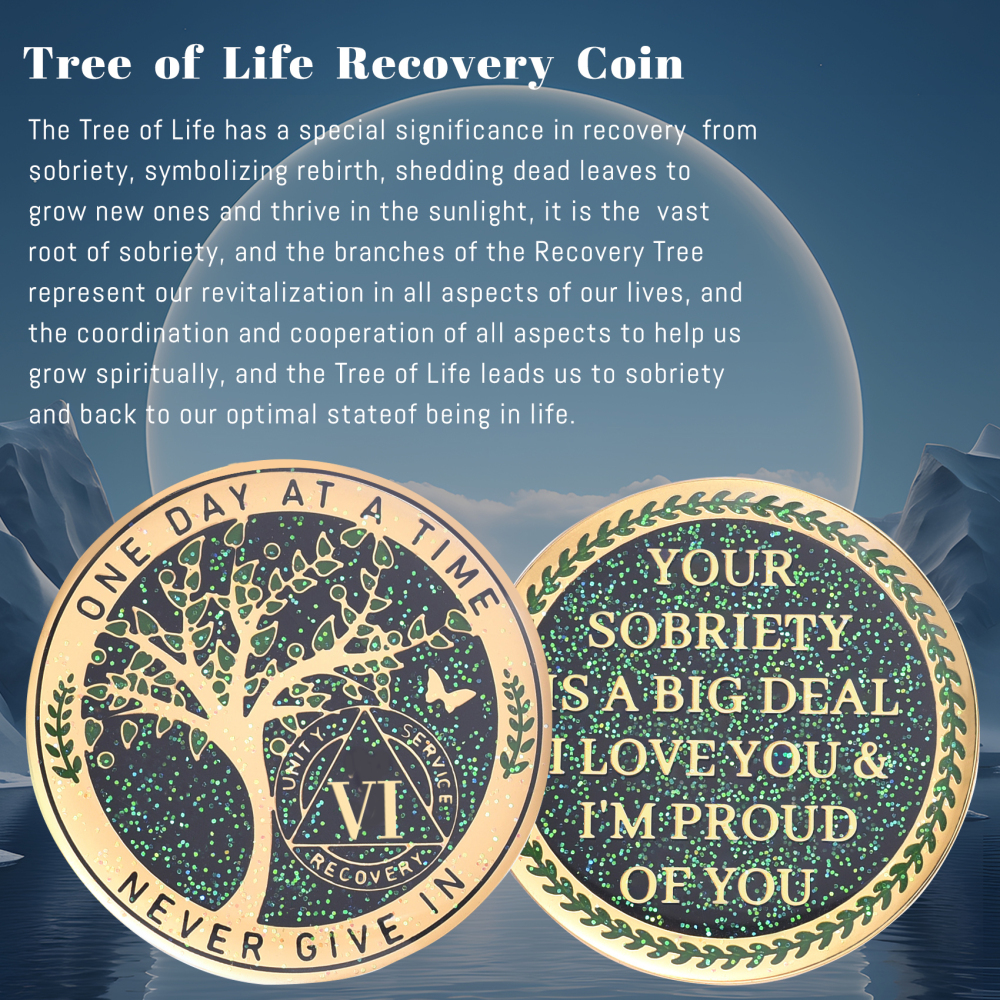 LParkin 6 Year Sobriety Coin, Tree of Life Sobriety Coin, 6 Year AA Coin, Sobriety Gifts for Men and Women, Sober Anniversary Token, Alcoholics Anonymous Medallion