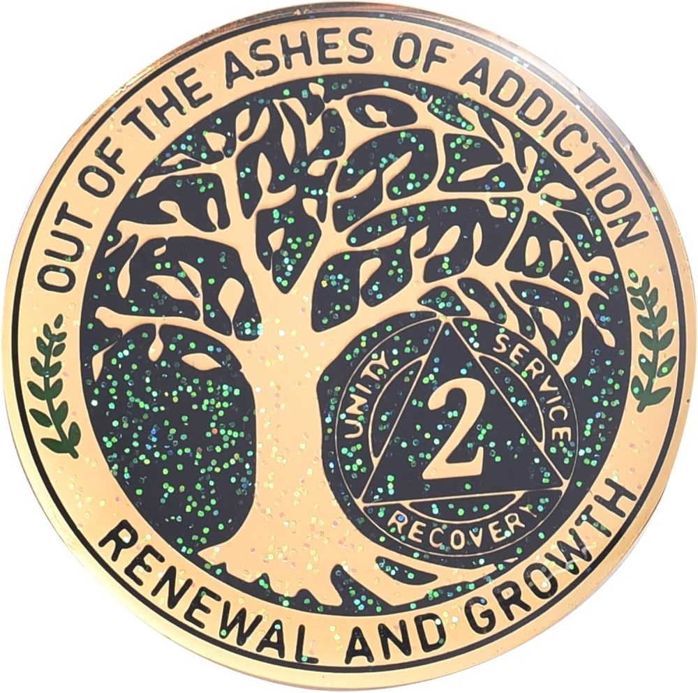 LParkin 2 Year Sobriety Coin, Tree of Life Recovery Coin, AA Recovery Medallion, Anniversary Token Sobriety Gifts, Alcoholics Anonymous Medallion