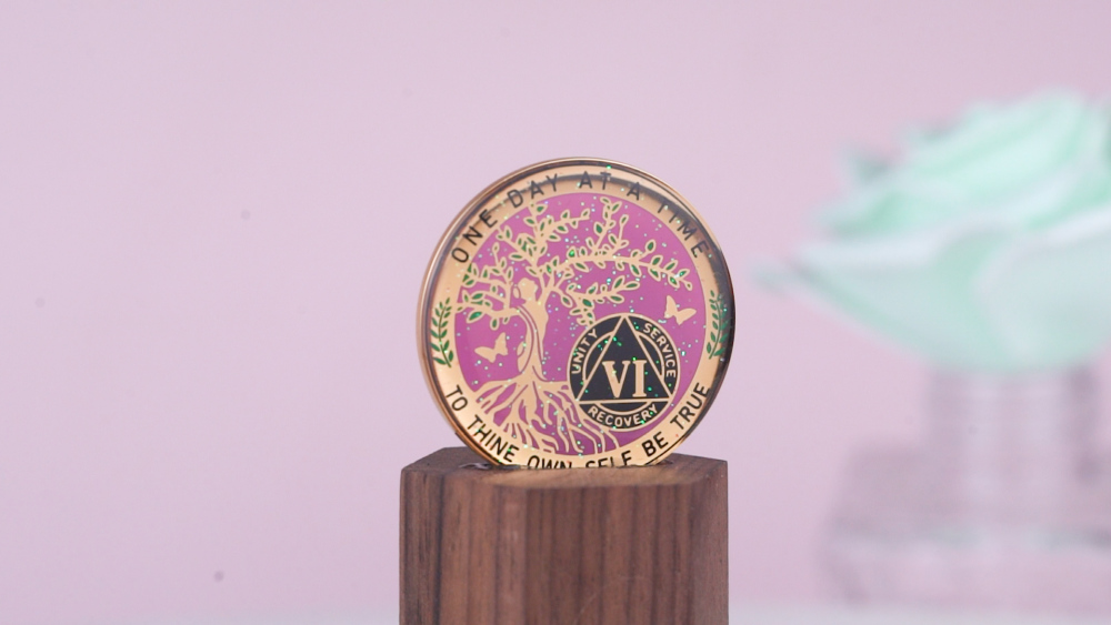 LParkin 6 Year Sobriety Coin, Tree of Life Sobriety Coin, Inspirational AA Coin, Sobriety Gifts for Women, Alcoholics Anonymous Medallion