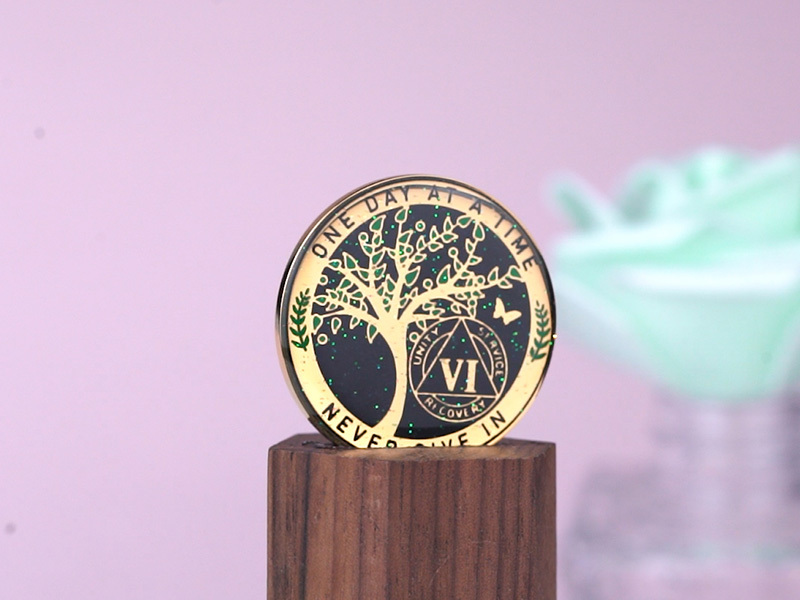 LParkin 6 Year Sobriety Coin, Tree of Life Sobriety Coin, 6 Year AA Coin, Sobriety Gifts for Men and Women, Sober Anniversary Token, Alcoholics Anonymous Medallion