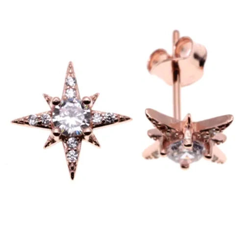 Star Stud Earrings ( L37 )