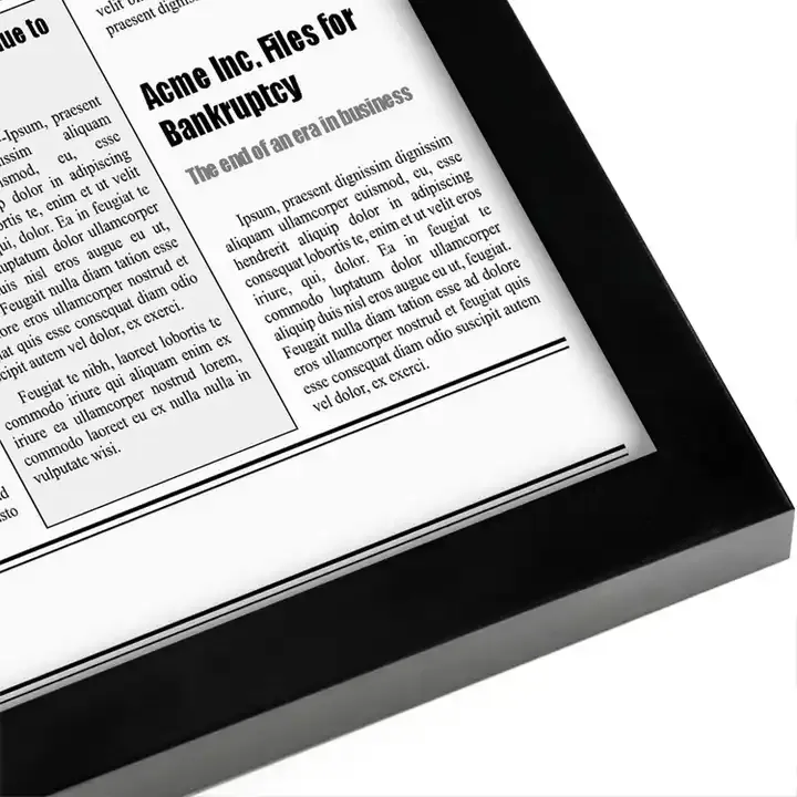 Wholesale 11x22 Frame - Assorted Media Cover Frame - Hanging Hardware Included - Fits 11x22 inch Newspapers