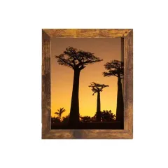 Custom 4x6 & 8x10 Picture Frame Solid Wood Photo Frame with High Definition Glass