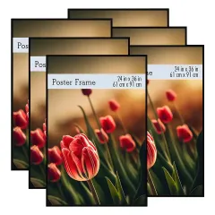 Custom Plastic Photo Frame 11x14", 12x16", 16x20", 18x24", 24x36" Picture Frame