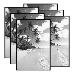 Custom Plastic Photo Frame 11x14", 12x16", 16x20", 18x24", 24x36" Picture Frame