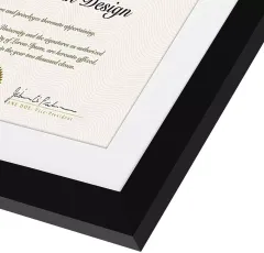 Customized Diploma Frame Certificate Frame for University College