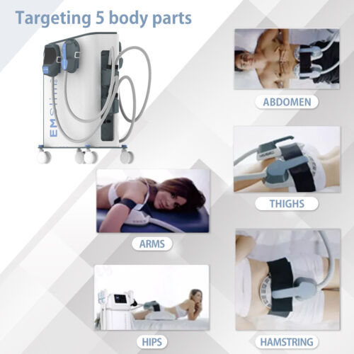Professional 2/4 Handles Emslim Neo RF Body Slimming Sculpting Muscle Building Fat Loss Machine for Beauty Salon