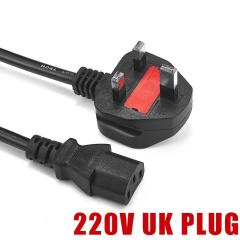 UK plug
