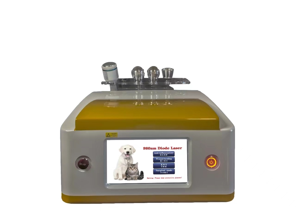 Professional 980nm Diode Laser Machine Analgesic Physiotherapy Surgical Cutting Remove Tumor Skin Disease Vascular Spider Veins Removal Nails Fungus Skin Care Rejuvenation