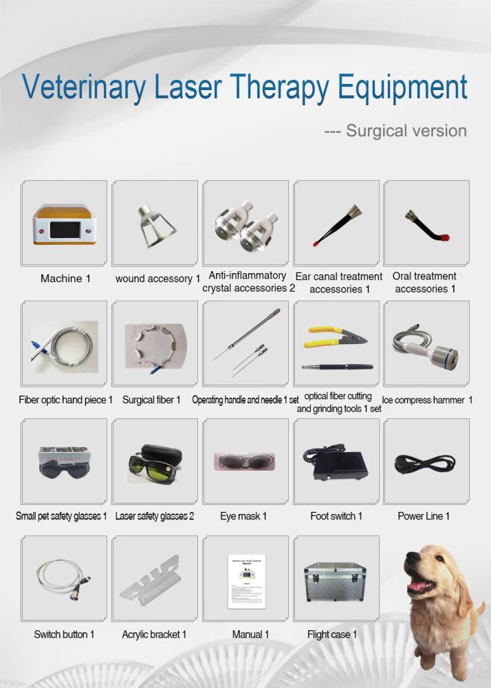 Professional 980nm Diode Laser Machine Analgesic Physiotherapy Surgical Cutting Remove Tumor Skin Disease Vascular Spider Veins Removal Nails Fungus Skin Care Rejuvenation