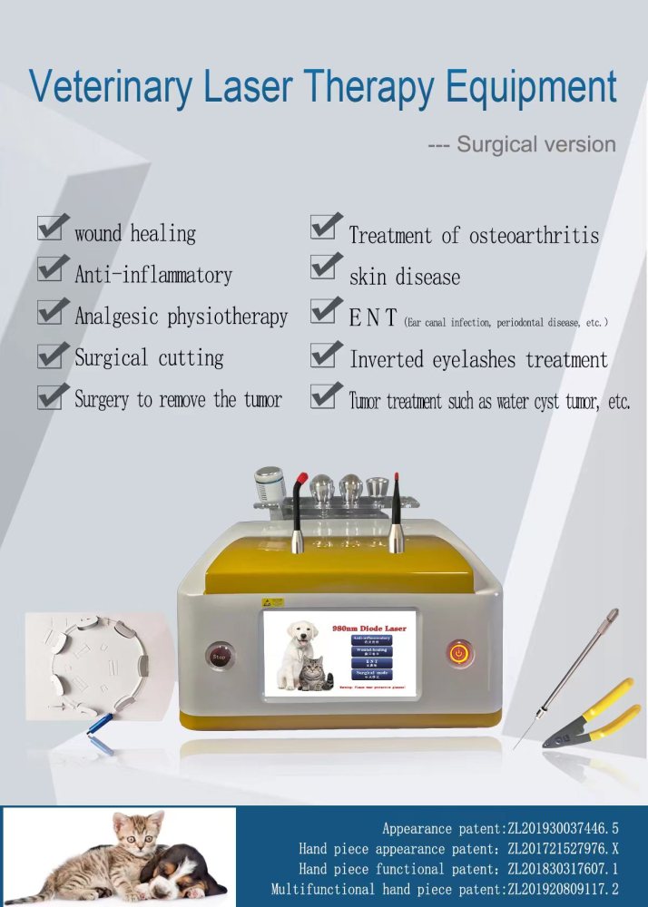 Professional 980nm Diode Laser Machine Analgesic Physiotherapy Surgical Cutting Remove Tumor Skin Disease Vascular Spider Veins Removal Nails Fungus Skin Care Rejuvenation