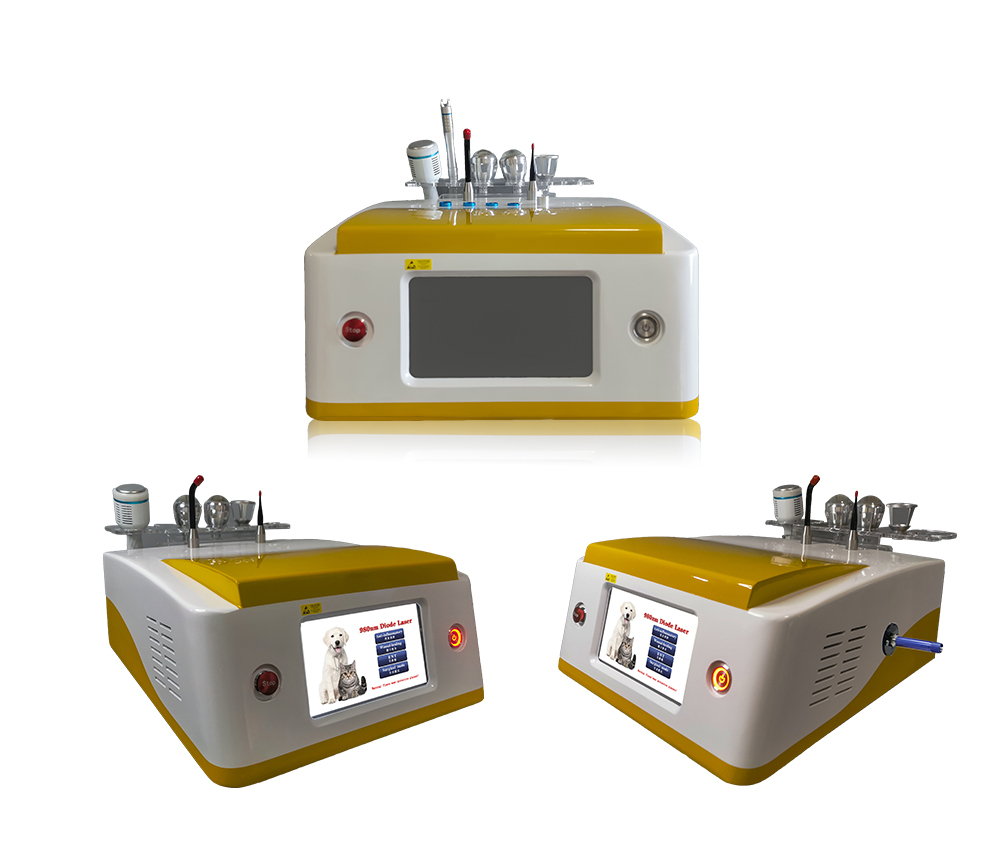Professional 980nm Diode Laser Machine Analgesic Physiotherapy Surgical Cutting Remove Tumor Skin Disease Vascular Spider Veins Removal Nails Fungus Skin Care Rejuvenation