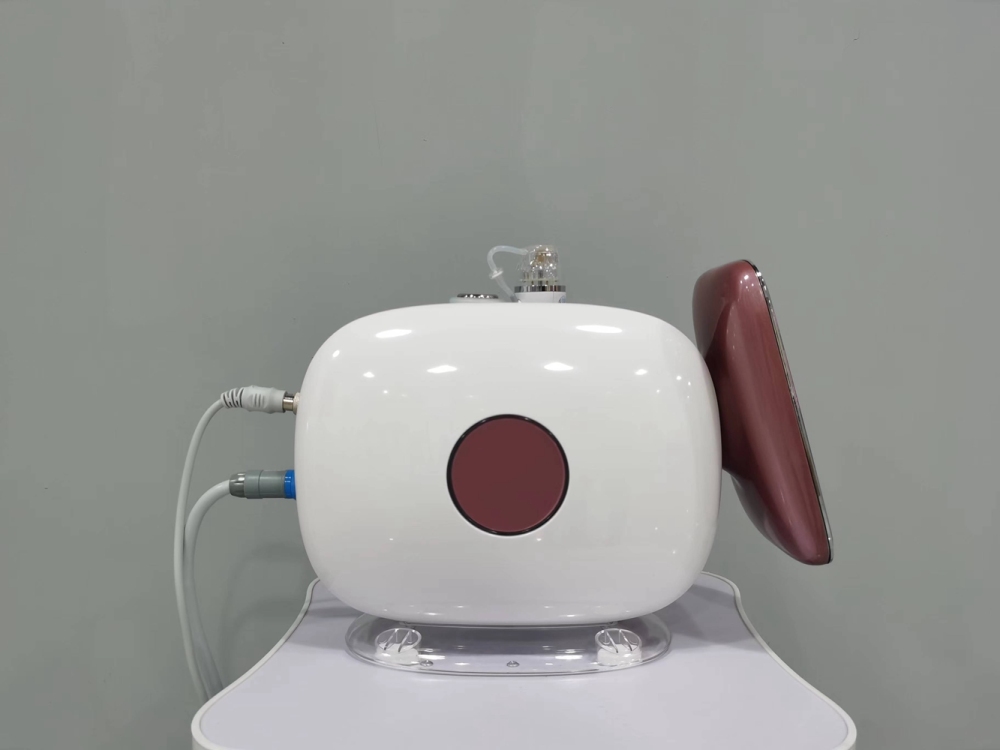 Portable 2in1 Gold RF Microneedle Machine Face Lift Skin Care Stretch Marks Scar Remover Beauty Salon and Home Use