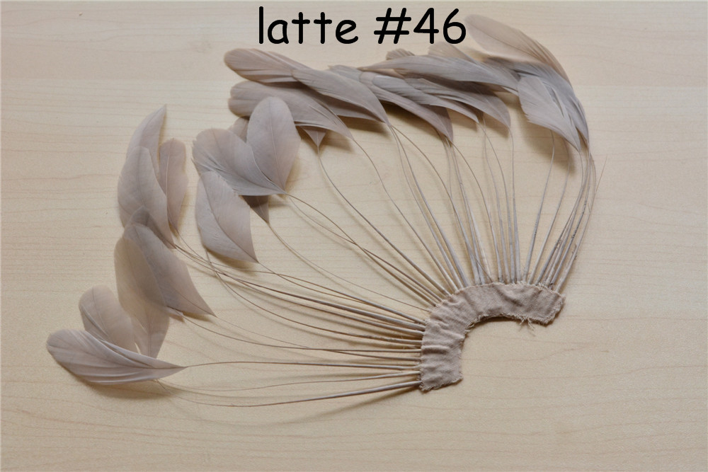 RHW-SC02 80 Colours Stripped Coque Feather Fan