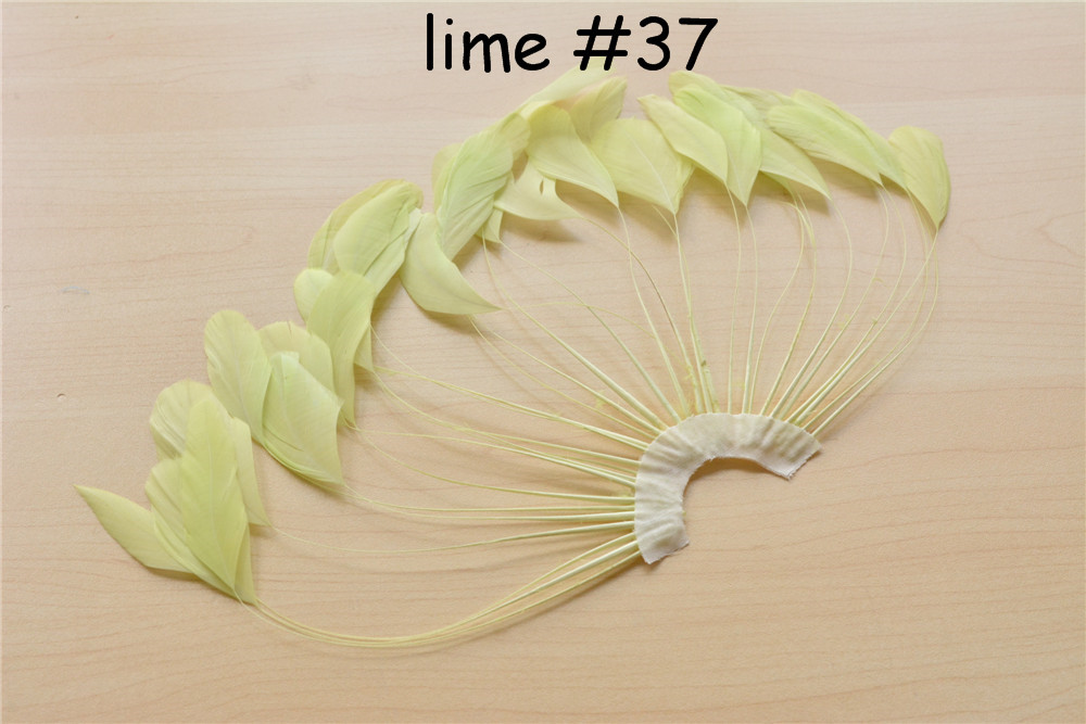 RHW-SC02 80 Colours Stripped Coque Feather Fan