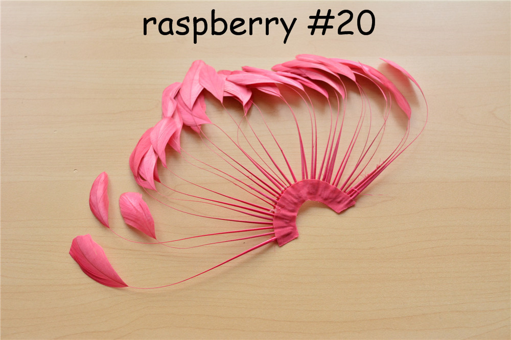 RHW-SC02 80 Colours Stripped Coque Feather Fan