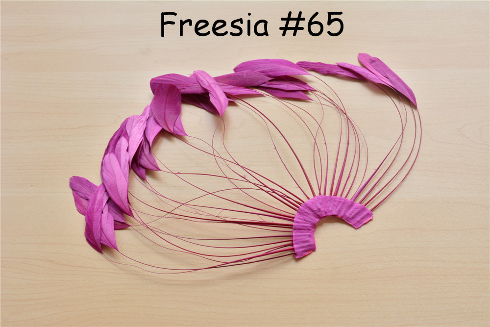 RHW-SC02 80 Colours Stripped Coque Feather Fan