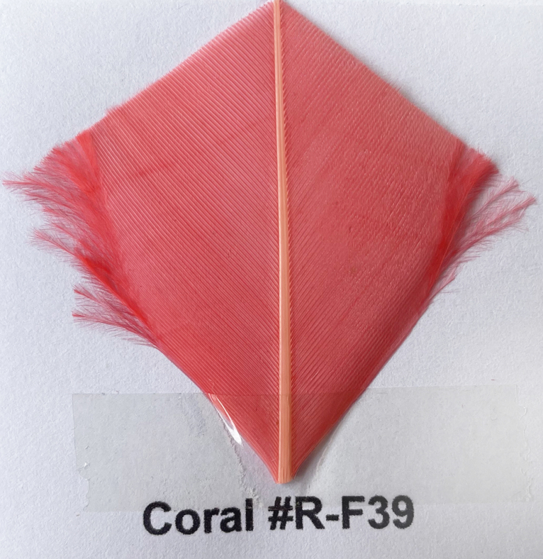 RL-ICC02 2 Inverted Chevron Cut Coque Feather 8/10 25pcs/Packet