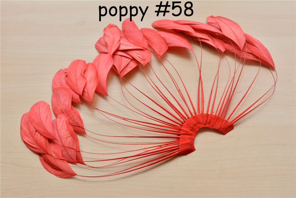 RHW-SC02 80 Colours Stripped Coque Feather Fan