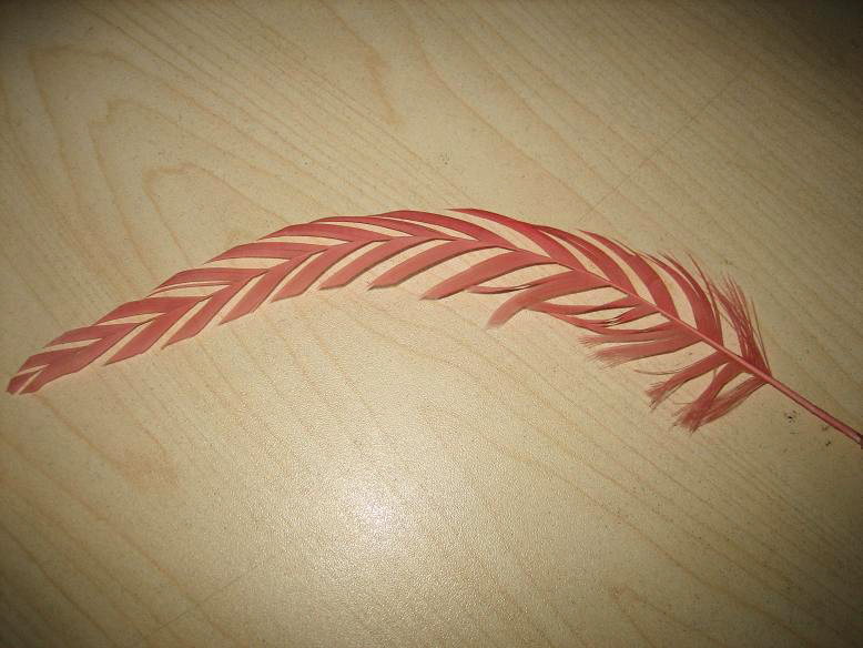 RM203 Feather Mount Hackle Feather Millinery Fascinators Hat Handcraft Headress