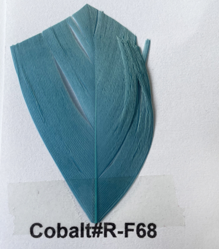 RL-ICC02 2 Inverted Chevron Cut Coque Feather 8/10 25pcs/Packet