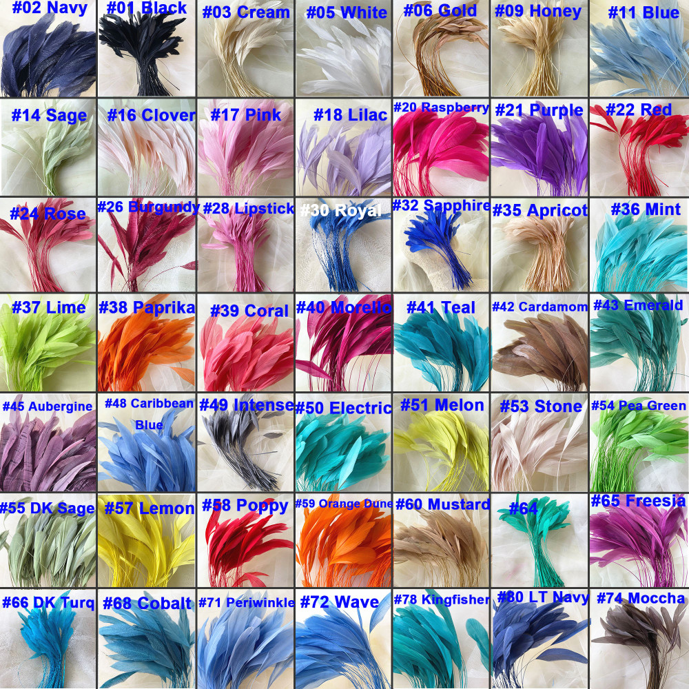 RL-C03CC Chevron Cut Coque Feather 10/12 25pcs/Packet