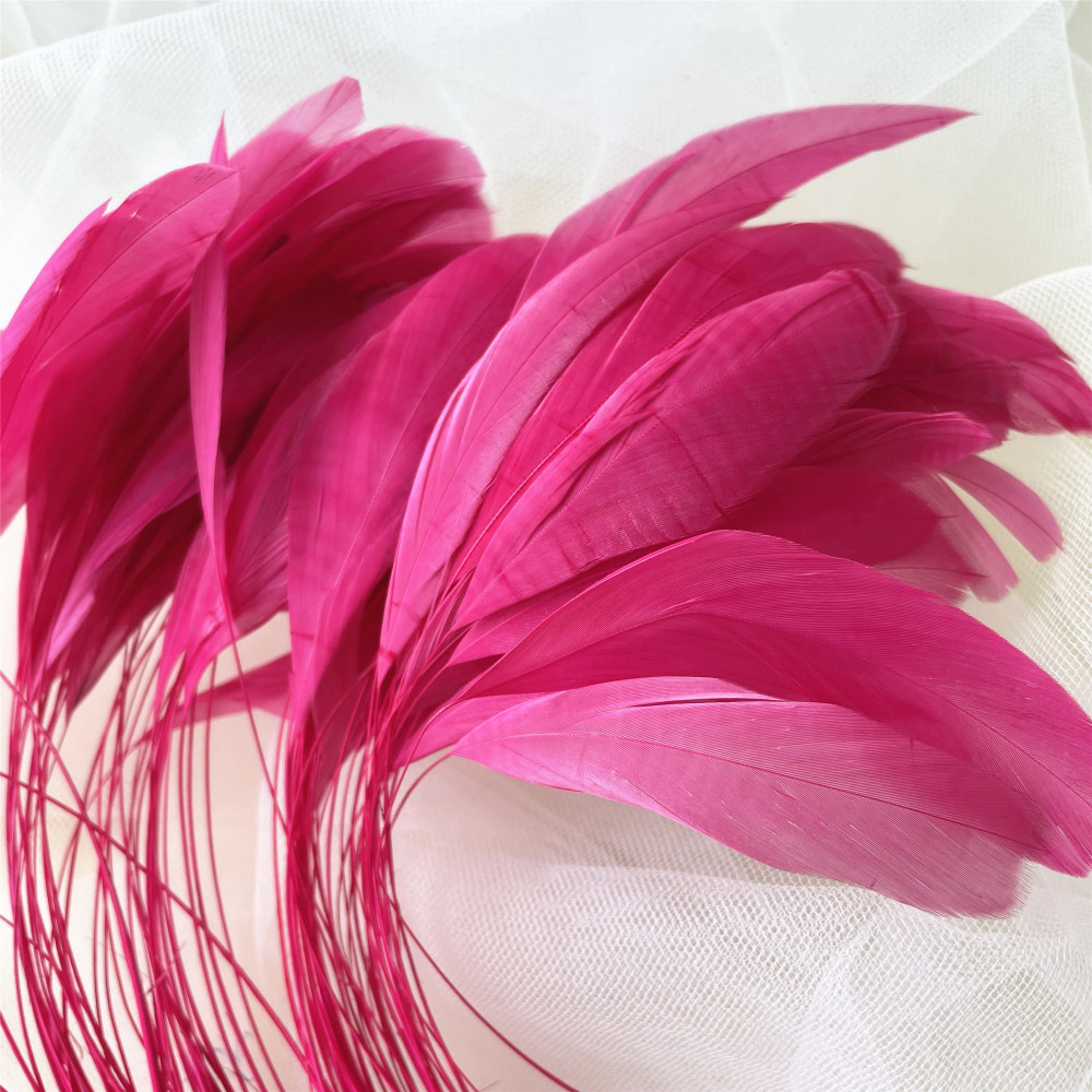 RL-C03LT Long Trimmed St Coque Feather 10/12 25pcs/Packet