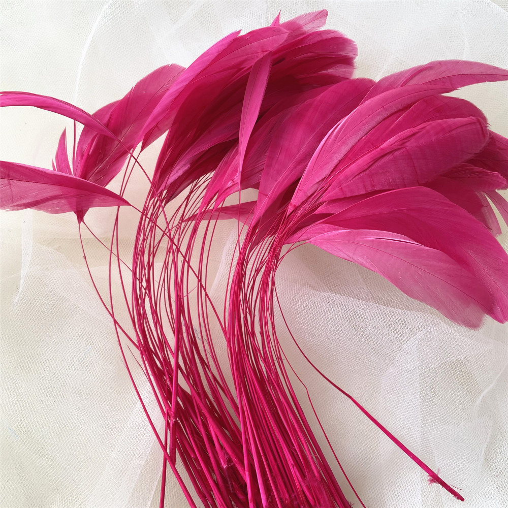 RL-SC03  Stripped Coque Feather 10/12 25pcs/Packet 50pcs/Packet 100pcs/Packet