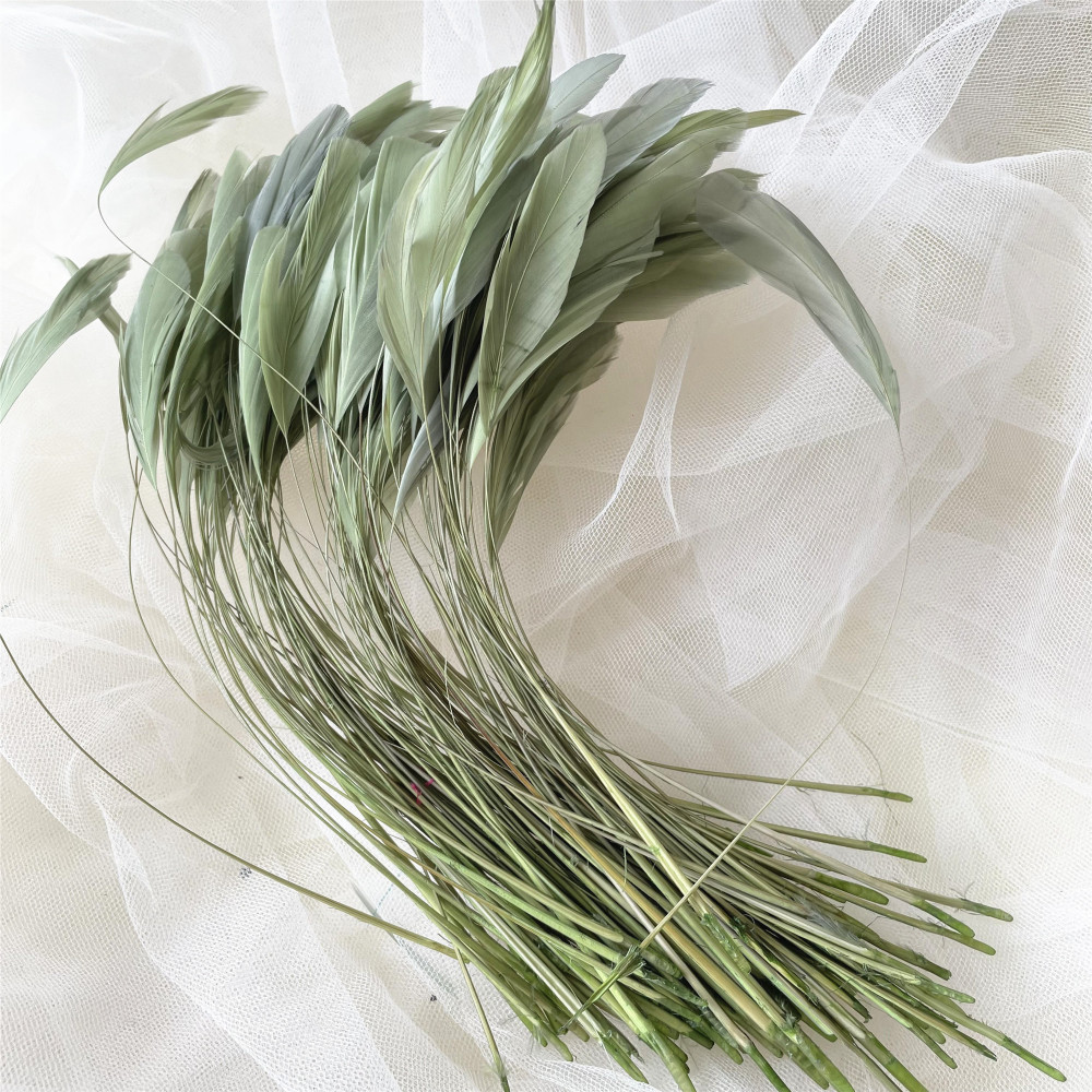 RL-SC03  Stripped Coque Feather 10/12 25pcs/Packet 50pcs/Packet 100pcs/Packet