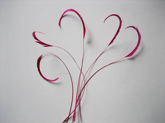 RL-C03CC Chevron Cut Coque Feather 10/12 25pcs/Packet
