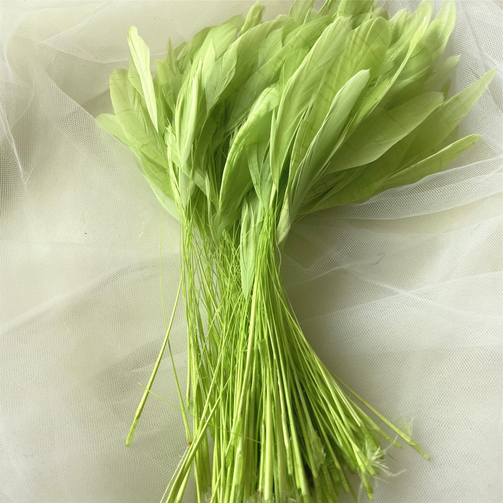 RL-SC03  Stripped Coque Feather 10/12 25pcs/Packet 50pcs/Packet 100pcs/Packet