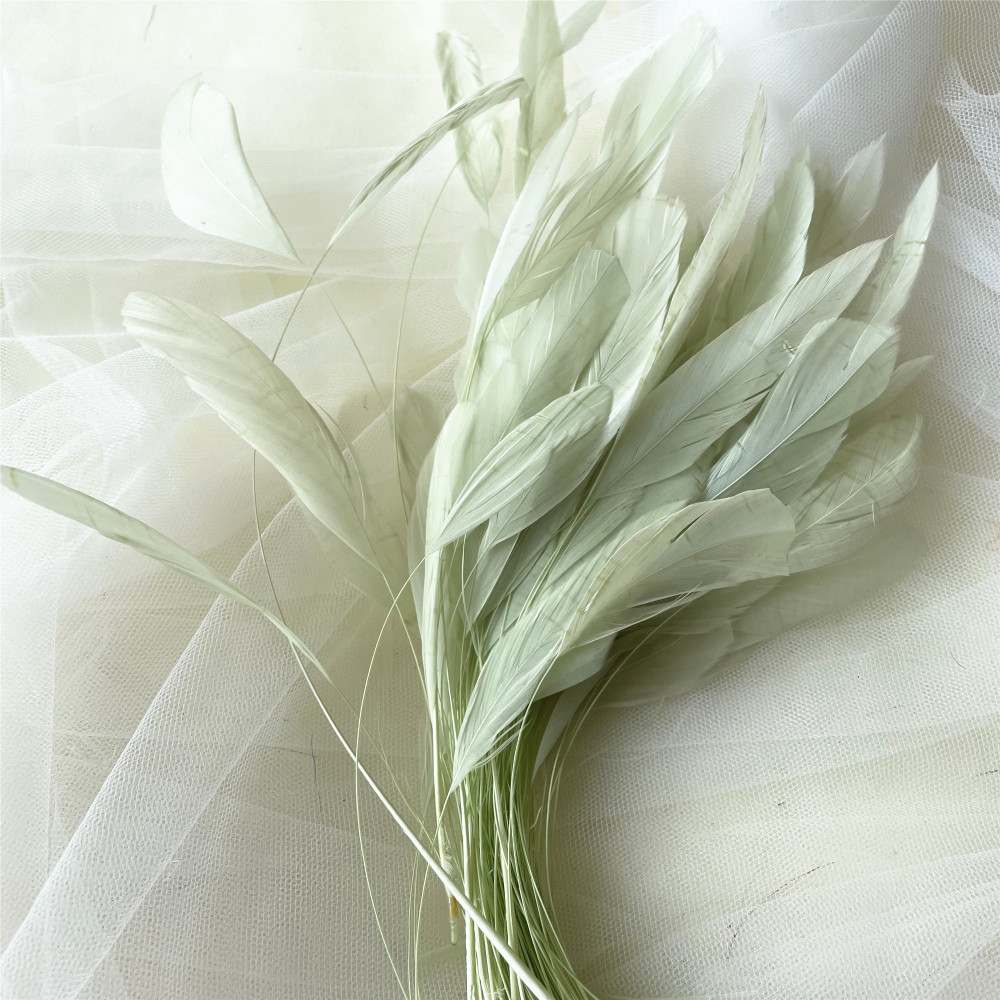 RL-SC03  Stripped Coque Feather 10/12 25pcs/Packet 50pcs/Packet 100pcs/Packet