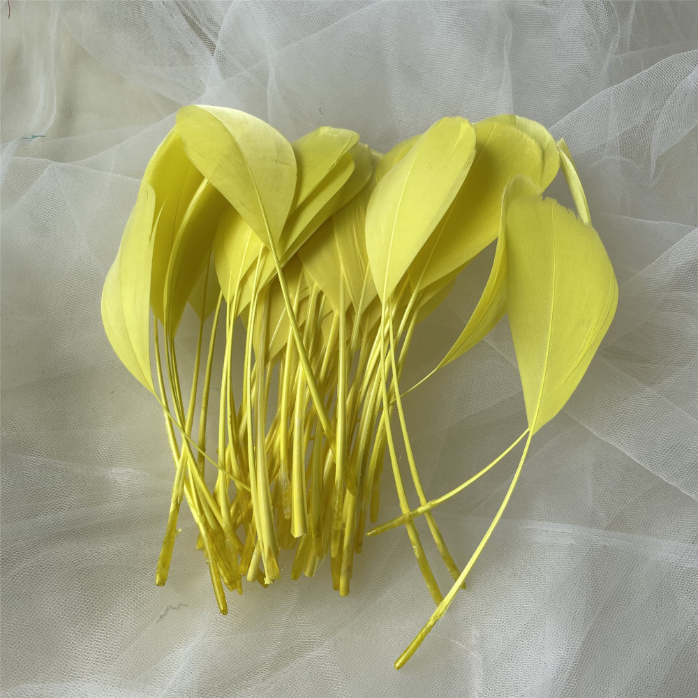 RL-LSP Long Spiky Tips Goose Feather 25pcs/Packet