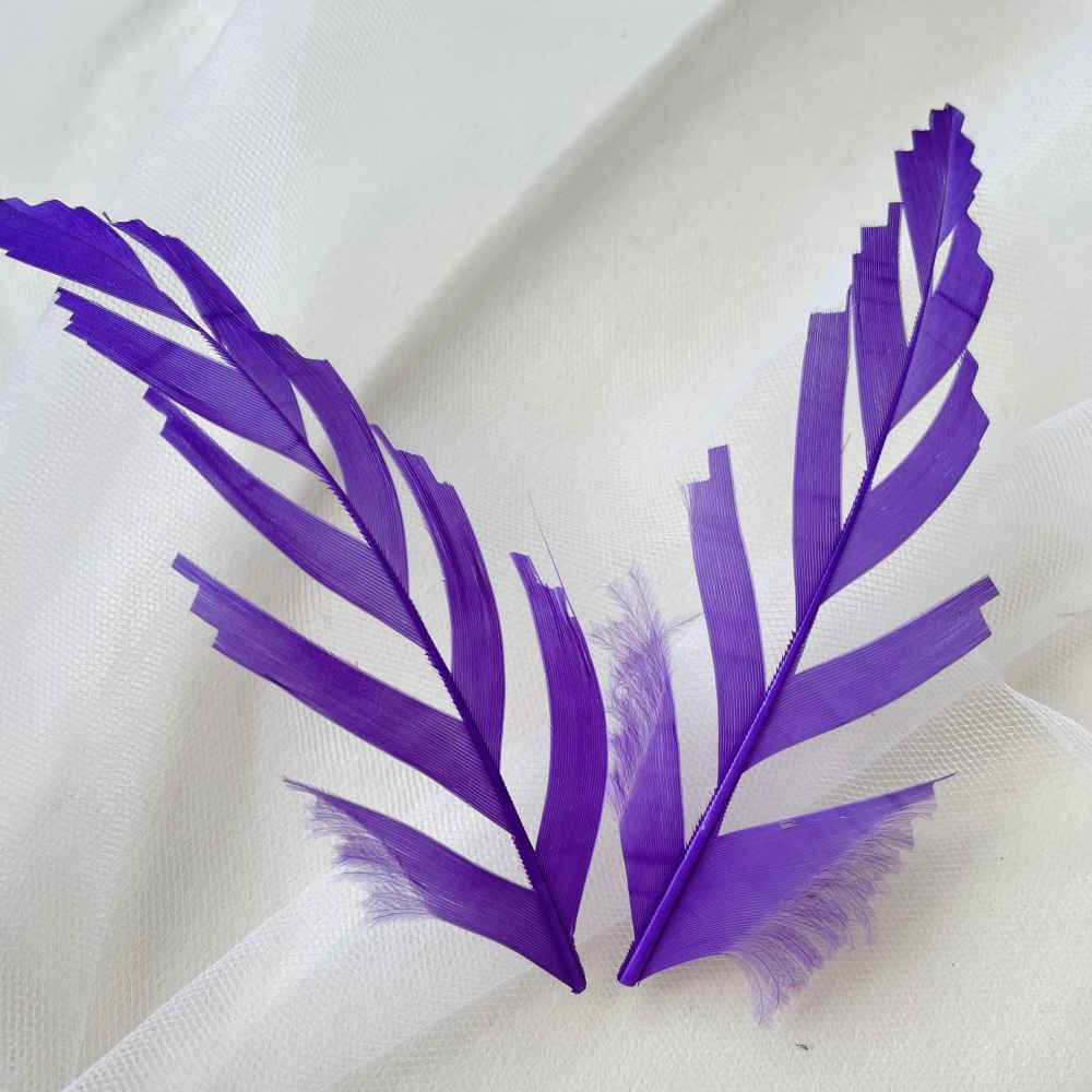 RL-LSP Long Spiky Tips Goose Feather 25pcs/Packet