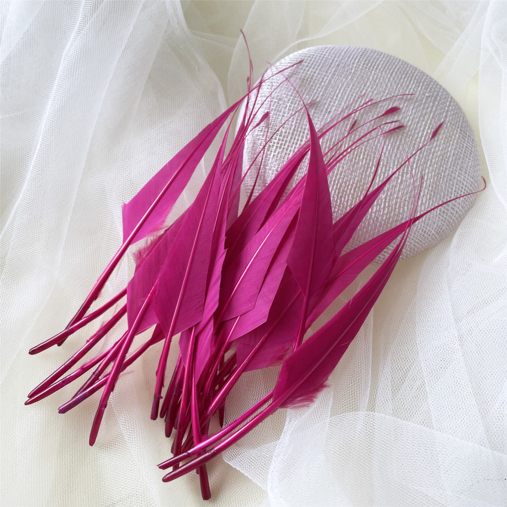 RL-LSP Long Spiky Tips Goose Feather 25pcs/Packet