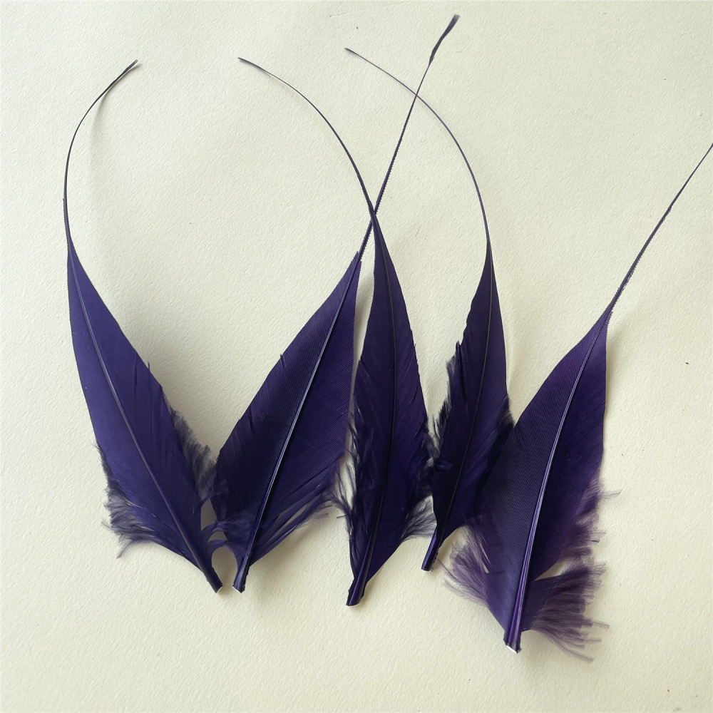 RL-ELSP Long Spiky Tips Goose Feather 25pcs/Packet
