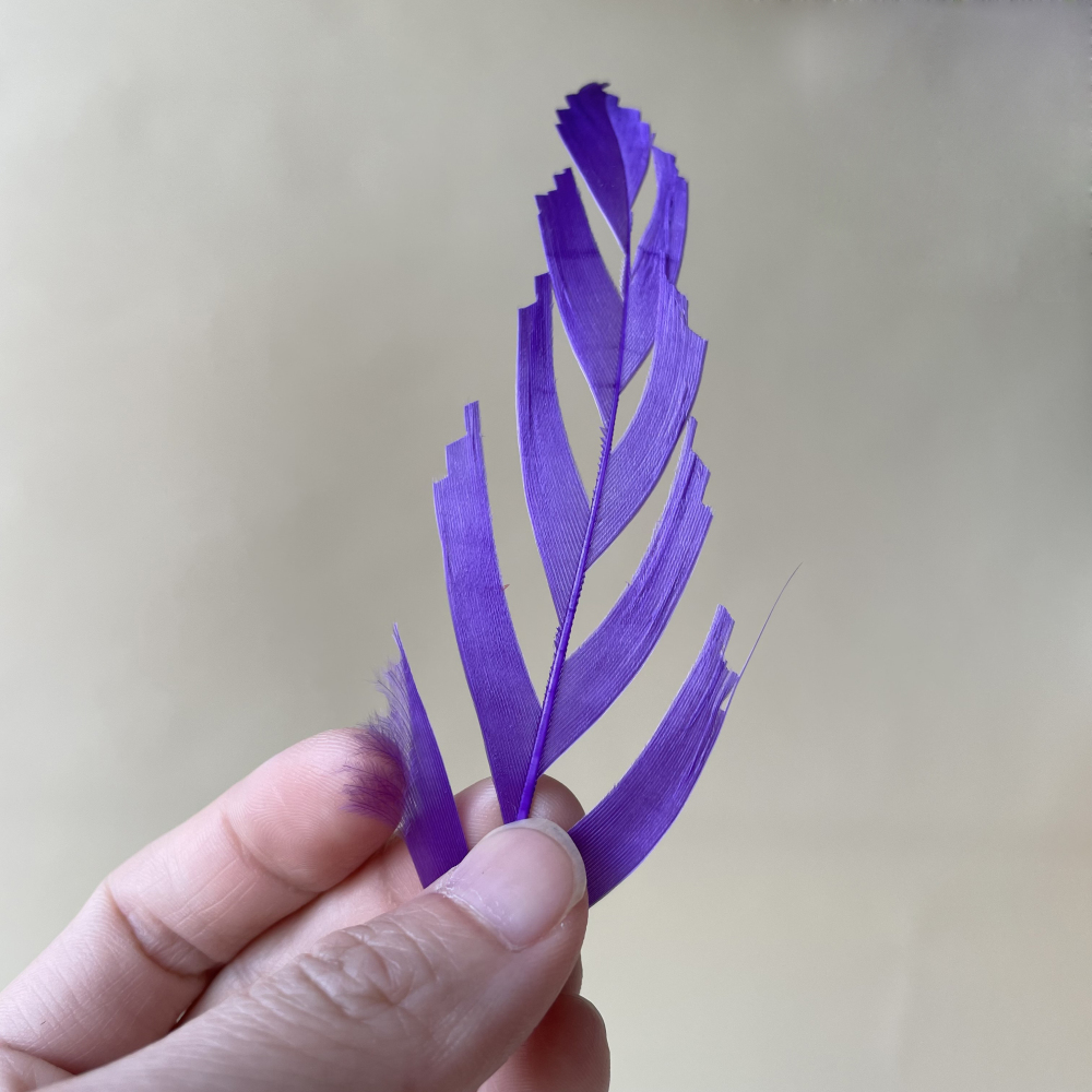 RL-LSP Long Spiky Tips Goose Feather 25pcs/Packet