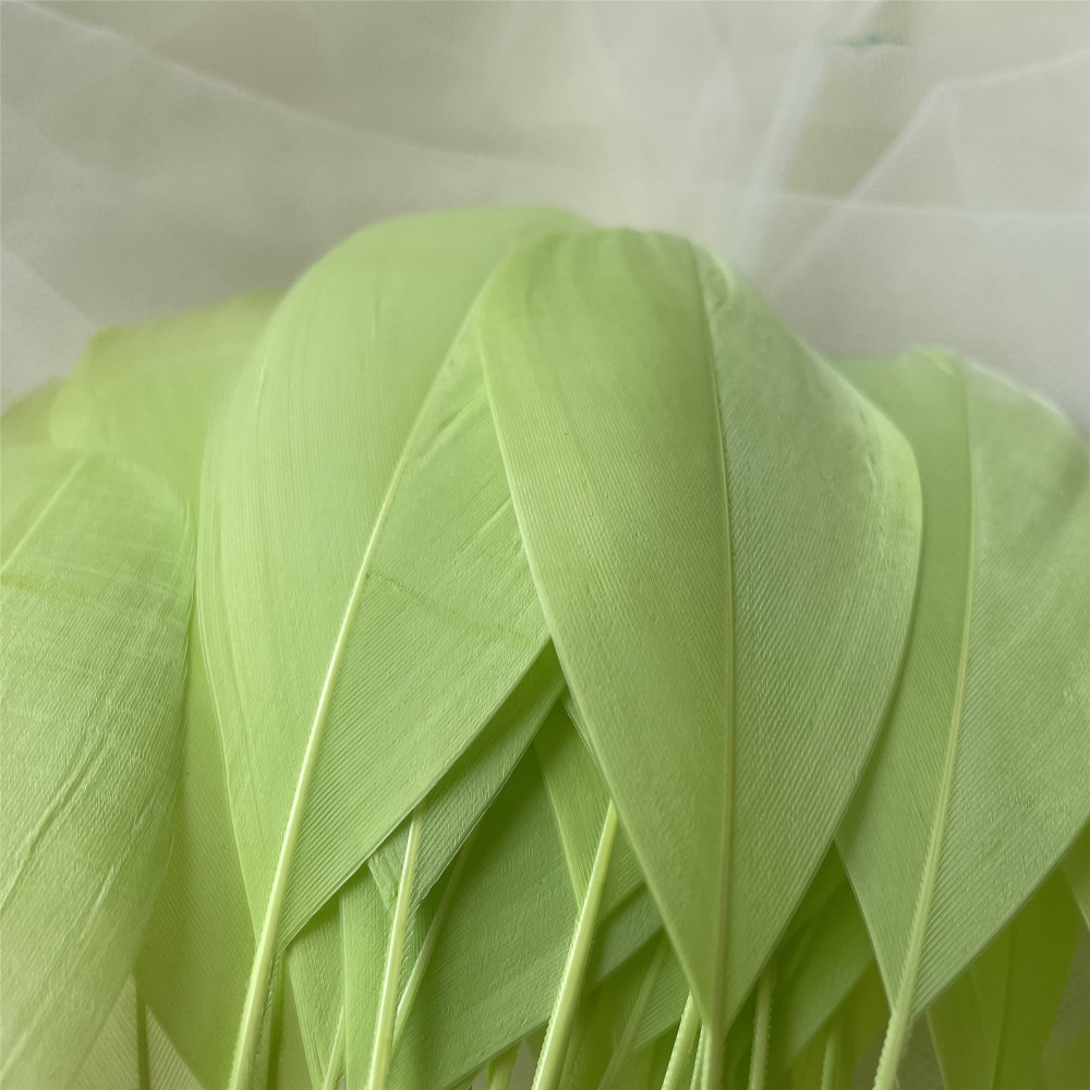 RL-LSP Long Spiky Tips Goose Feather 25pcs/Packet