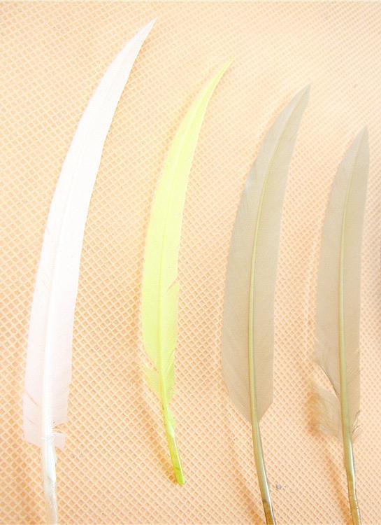 RL-LSP Long Spiky Tips Goose Feather 25pcs/Packet