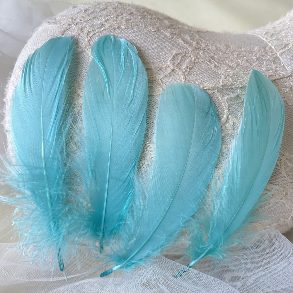 RL-LSP Long Spiky Tips Goose Feather 25pcs/Packet
