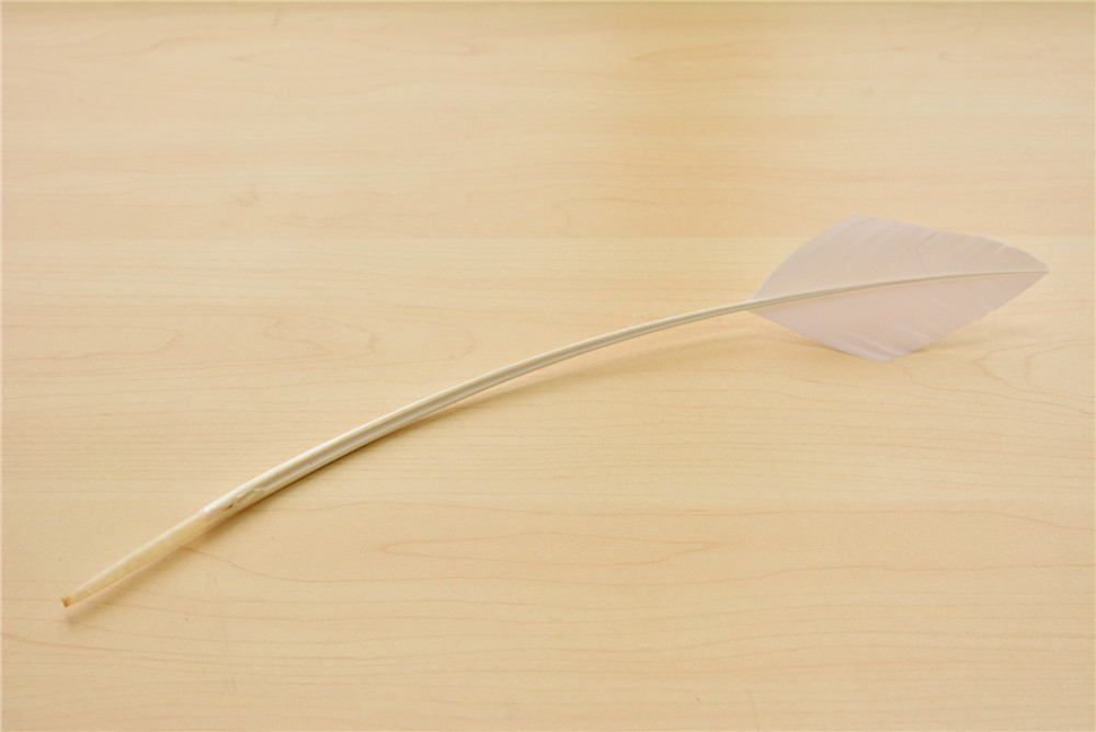 RL-AHTQ Arrowhead Turkey Quill One Piece