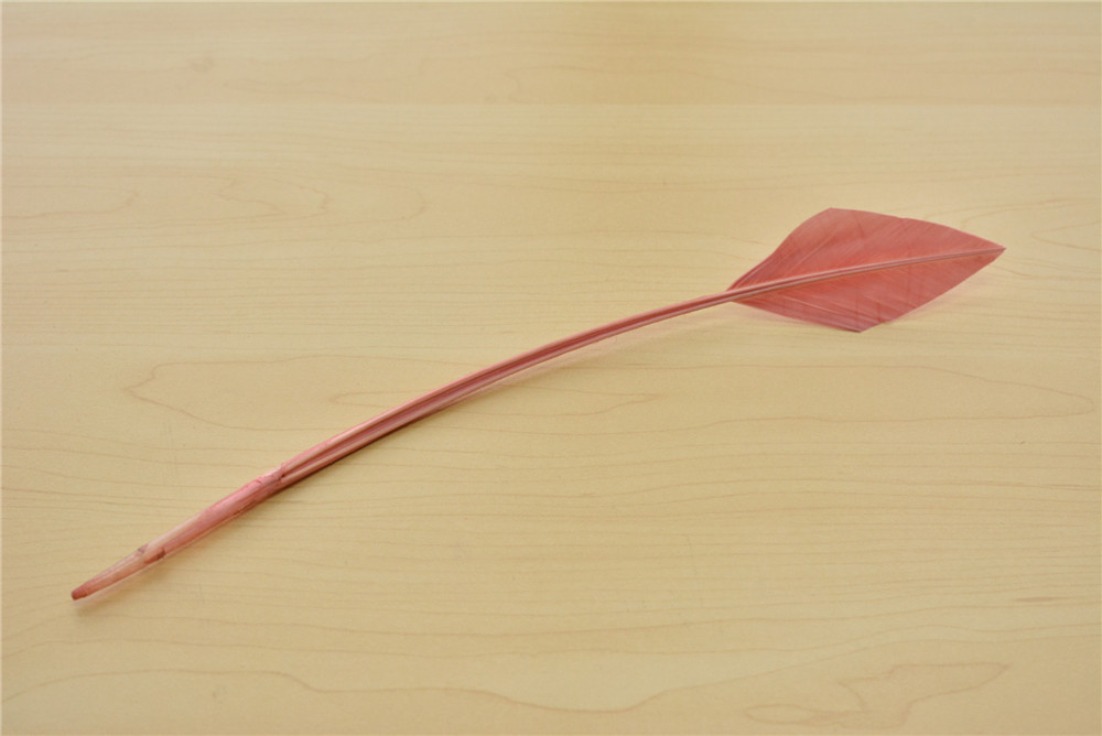 RL-AHTQ Arrowhead Turkey Quill One Piece