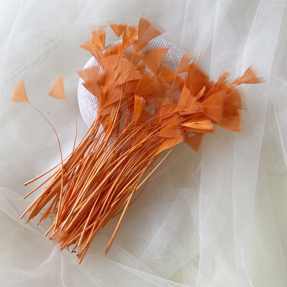 RL-EM Emu Feather 25pcs/pkt