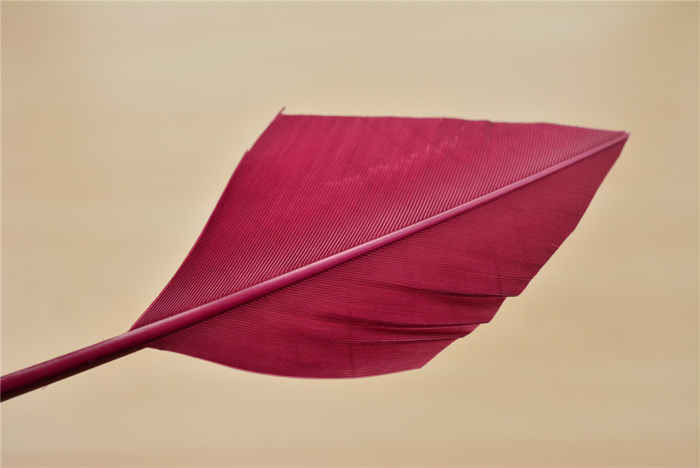 RL-NG Loose Goose Feathers 4/6 25pcs/Packet